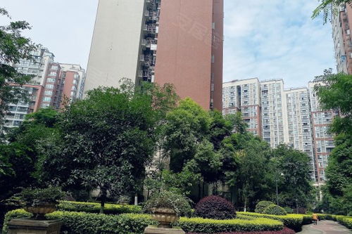 光華碧鄰優(yōu)點(diǎn) 不足,光華碧鄰怎么樣,光華碧鄰周邊房產(chǎn)中介經(jīng)紀(jì)人評(píng)價(jià)