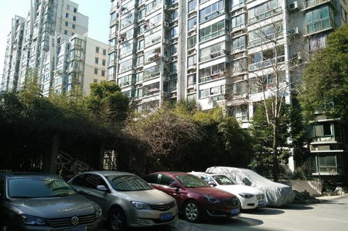 金紡苑優(yōu)點 不足,金紡苑怎么樣,金紡苑周邊房產中介經紀人評價