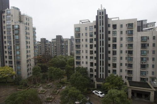 大華錦繡華城十一街區(qū)優(yōu)點 不足,大華錦繡華城十一街區(qū)怎么樣,大華錦繡華城十一街區(qū)周邊房產中介經紀人評價