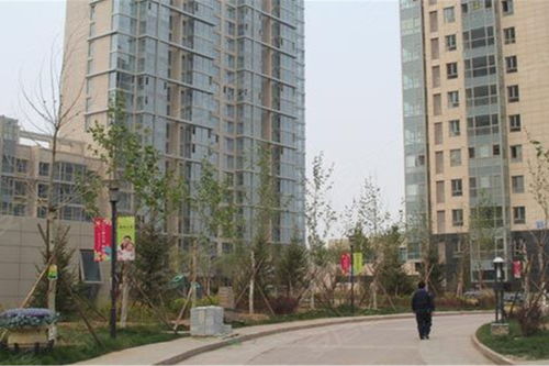 梧桐大道優(yōu)點(diǎn) 不足,梧桐大道怎么樣,梧桐大道周邊房產(chǎn)中介經(jīng)紀(jì)人評(píng)價(jià)