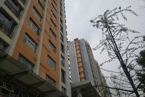 怡泰A區(qū)優(yōu)點(diǎn) 不足,怡泰A區(qū)怎么樣,怡泰A區(qū)周邊房產(chǎn)中介經(jīng)紀(jì)人評(píng)價(jià)