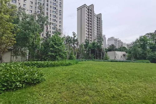 金安向日葵優點 不足,金安向日葵怎么樣,金安向日葵周邊房產中介經紀人評價 哈爾濱安居客