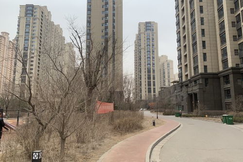 綠地世紀城優點 不足,綠地世紀城怎么樣,綠地世紀城周邊房產中介經紀人評價