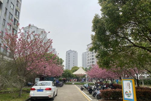 聯心嘉園 北區 優點 不足,聯心嘉園 北區 怎么樣,聯心嘉園 北區 周邊房產中介經紀人評價