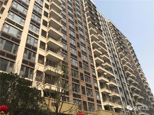 二手房報價破26000元 ㎡ 江北新區大盤交付,房價兩年漲10000元 ㎡