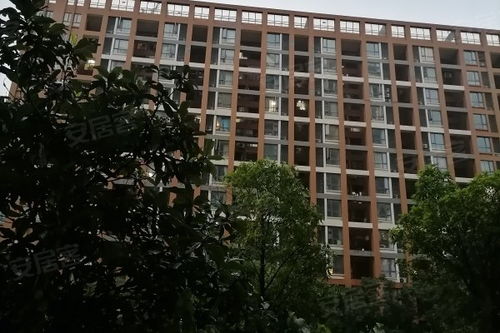 觀瀾天地優點 不足,觀瀾天地怎么樣,觀瀾天地周邊房產中介經紀人評價