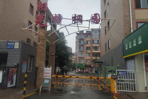 陽光梧桐園優點 不足,陽光梧桐園怎么樣,陽光梧桐園周邊房產中介經紀人評價