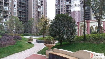 已售 皇庭國際中庭景觀黃金一樓直接更名過戶費低