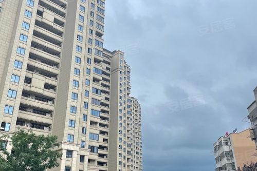 麗豐鉑羽公館優點 不足,麗豐鉑羽公館怎么樣,麗豐鉑羽公館周邊房產中介經紀人評價 合肥安居客