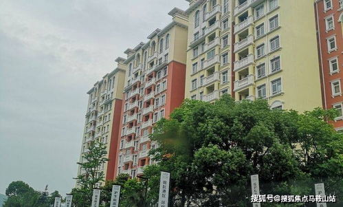 平湖九龍山景區(qū) 是二手房嗎