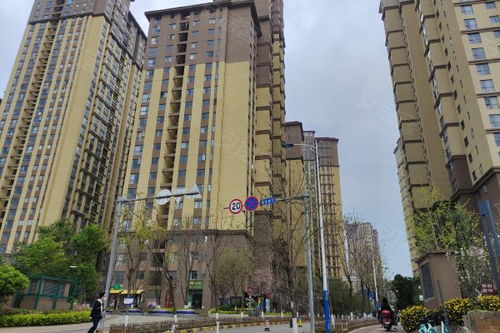 保利大家優(yōu)點(diǎn) 不足,保利大家怎么樣,保利大家周邊房產(chǎn)中介經(jīng)紀(jì)人評(píng)價(jià)