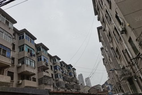 花東新村優點 不足,花東新村怎么樣,花東新村周邊房產中介經紀人評價