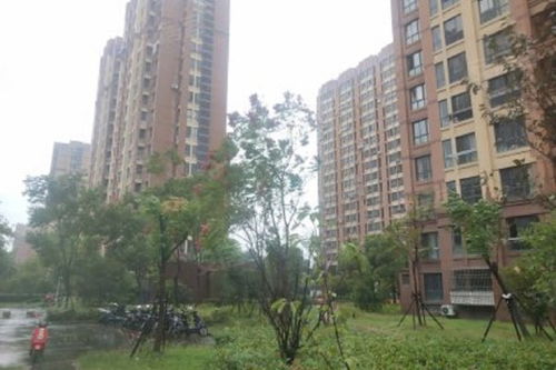 塘和家園德寧苑優點 不足,塘和家園德寧苑怎么樣,塘和家園德寧苑周邊房產中介經紀人評價