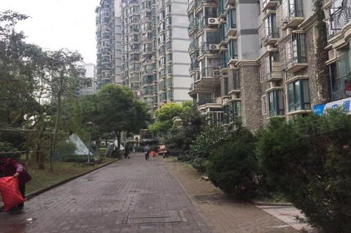 東立國際優點 不足,東立國際怎么樣,東立國際周邊房產中介經紀人評價