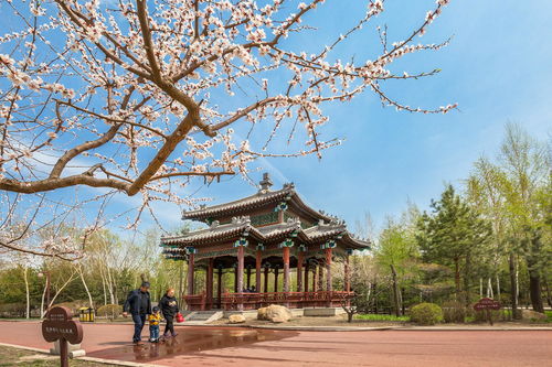 哈爾濱香坊區建設精品工程提升綠化品位構建綠色生態城區