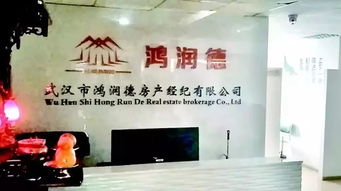 山東正嚴打的黑惡勢力,可能跟你想的不一樣