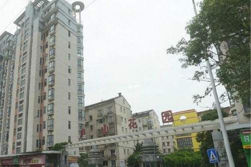 廬山花園優(yōu)點(diǎn) 不足,廬山花園怎么樣,廬山花園周邊房產(chǎn)中介經(jīng)紀(jì)人評(píng)價(jià)