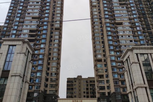 世茂城三期優點 不足,世茂城三期怎么樣,世茂城三期周邊房產中介經紀人評價