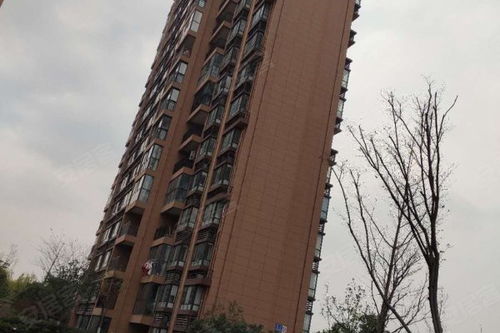 映月華府優點 不足,映月華府怎么樣,映月華府周邊房產中介經紀人評價