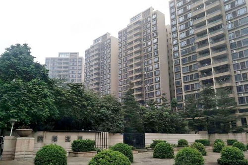 南航碧花園優點 不足,南航碧花園怎么樣,南航碧花園周邊房產中介經紀人評價