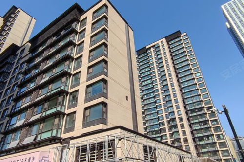 龍湖天璞優點 不足,龍湖天璞怎么樣,龍湖天璞周邊房產中介經紀人評價