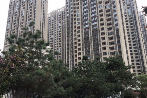 保利天悅優點 不足,保利天悅怎么樣,保利天悅周邊房產中介經紀人評價 西安安居客