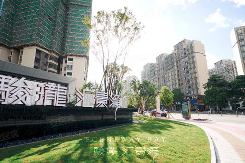 駿瓏匯景灣優點 不足,駿瓏匯景灣怎么樣,駿瓏匯景灣周邊房產中介經紀人評價