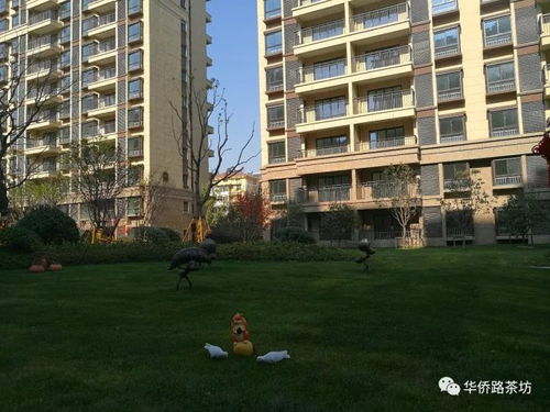 二手房價突破20000元 ㎡,江北新區大盤首批交付,實景圖曝光