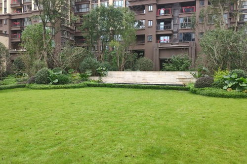 天悅國際優(yōu)點 不足,天悅國際怎么樣,天悅國際周邊房產中介經紀人評價