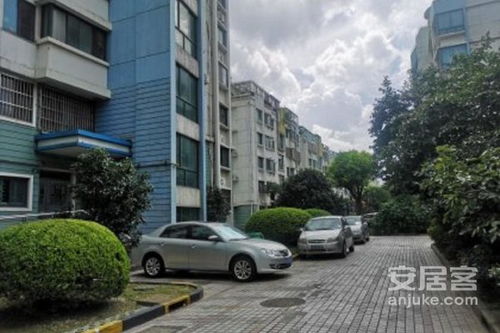 櫻花路89弄小區優點 不足,櫻花路89弄小區怎么樣,櫻花路89弄小區周邊房產中介經紀人評價