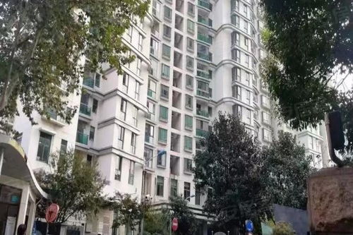 思南新苑優(yōu)點 不足,思南新苑怎么樣,思南新苑周邊房產中介經(jīng)紀人評價