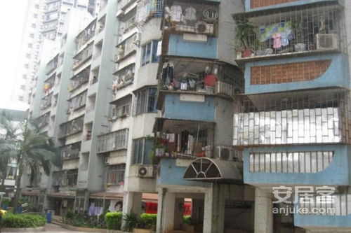 立新花園優點 不足,立新花園怎么樣,立新花園周邊房產中介經紀人評價 深圳安居客