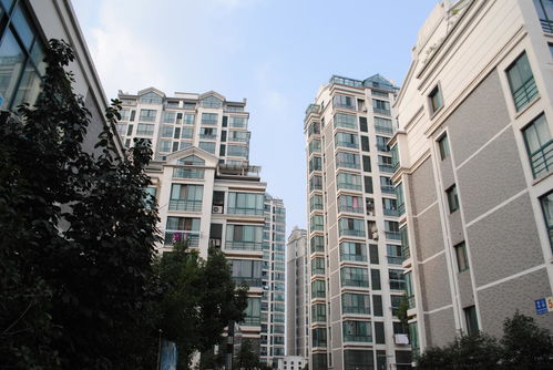 重點城市二手房價下跌,廣東里的這個市跌幅居于榜首