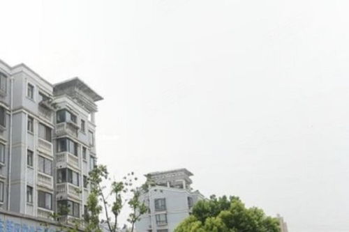 芳華路713弄小區(qū)綜合評價 優(yōu)點、不足與周邊中介服務(wù)