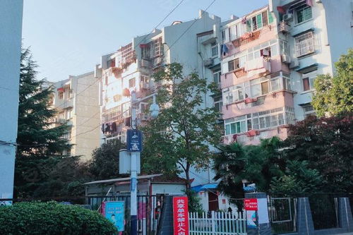 琥珀山莊綜合評測 優勢與不足，以及周邊中介服務觀察