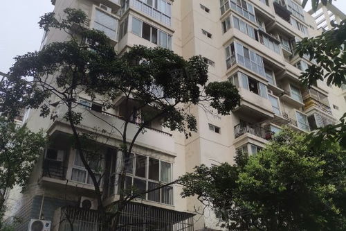 龍錦雅苑深度解析 社區(qū)優(yōu)劣、居住體驗(yàn)與周邊中介服務(wù)評(píng)價(jià)