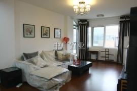 鎮江京口區東吳路二手房買賣指南與中介服務詳解